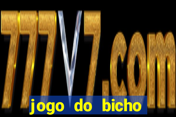 jogo do bicho crash bingo